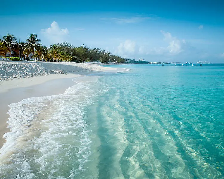 Playa de arena blanca con aguas turquesa y palmeras frente al mar.