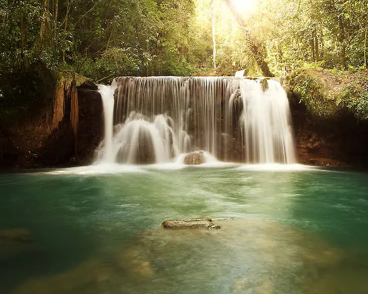 Cascada entre selva verde, agua cayendo en una poza turquesa.
