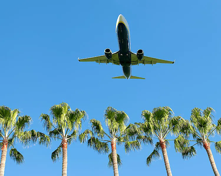 Avi&oacute;n sobrevolando palmeras bajo un cielo azul