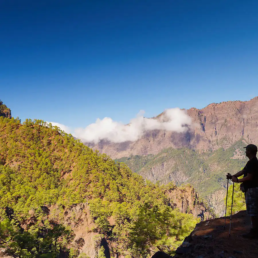 Senderista con bastones en mirador, monta&ntilde;as y nubes sobre bosque verde