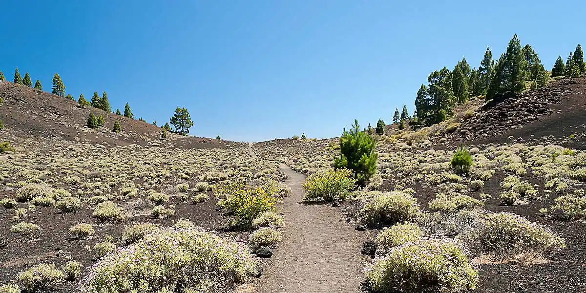 Sendero entre laderas volc&aacute;nicas con arbustos y &aacute;rboles bajo cielo azul