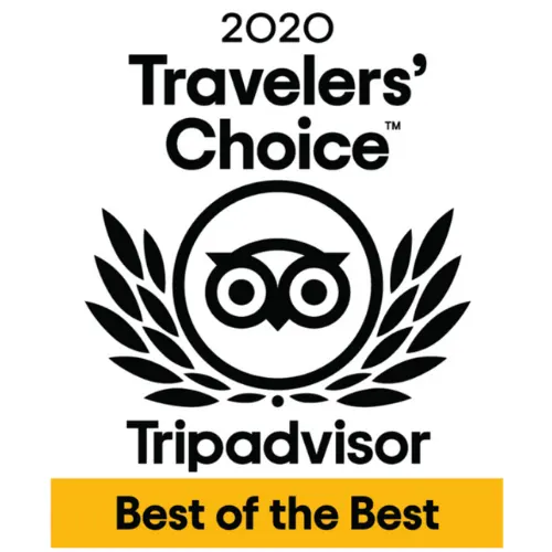 Sello 2020 Travelers' Choice TripAdvisor Best of the Best con icono de lechuza