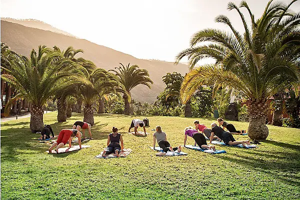 Personas haciendo yoga en una terraza con palmeras y monta&ntilde;as al fondo
