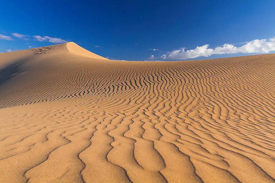 Dunas de arena con huellas y patr&oacute;n ondulado bajo cielo azul despejado