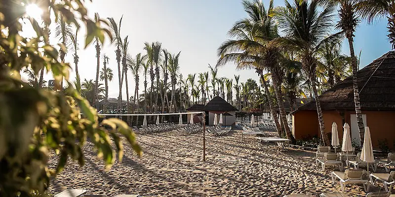 Playa tropical con palmeras, caba&ntilde;as y tumbonas junto al mar.