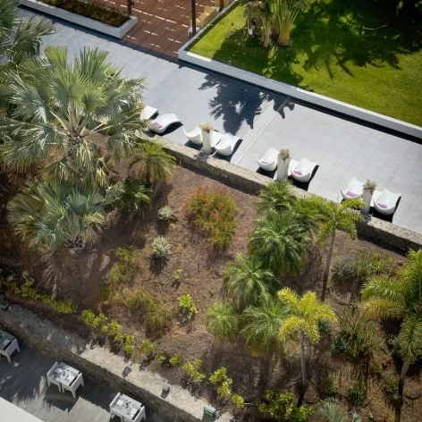 Vista a&eacute;rea de jard&iacute;n con palmeras y mesas con cubiertos blancas.