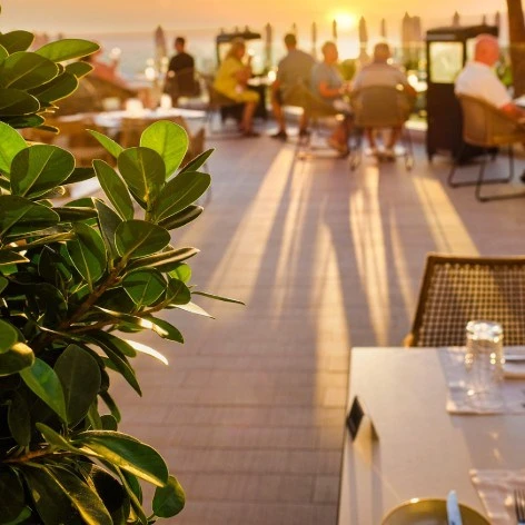 Plantas y mesas en un sal&oacute;n con vista a la ciudad al atardecer.