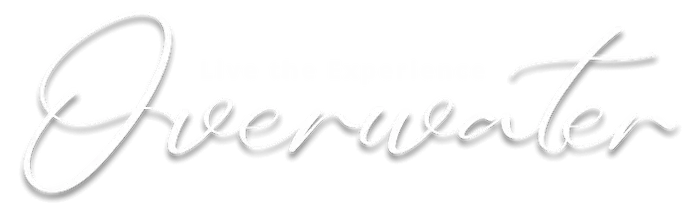 Logo &ldquo;Evergreen&rdquo; con texto cursivo blanco sobre fondo oscuro