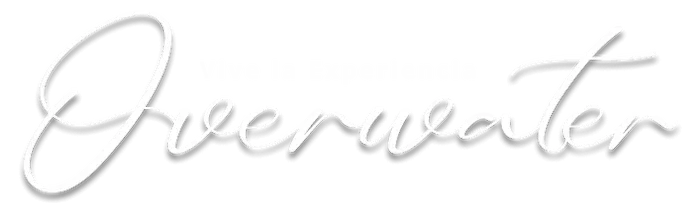 Logotipo &ldquo;Beautiful&rdquo; en tipograf&iacute;a cursiva negra con bordes blancos
