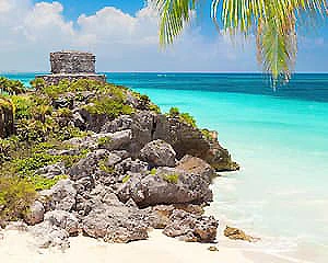 Playa tropical con rocas, palmera y mar turquesa en el Caribe