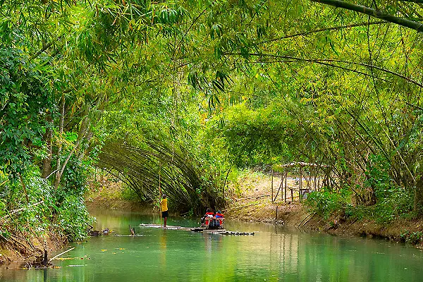 Balsa en un r&iacute;o entre bamb&uacute;es verdes y vegetaci&oacute;n densa.
