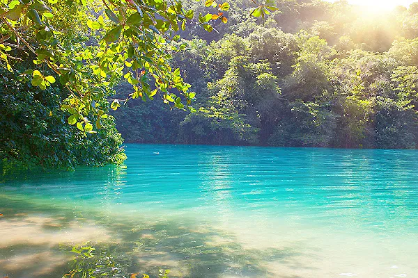 R&iacute;o turquesa entre vegetaci&oacute;n verde y luz del sol al atardecer.