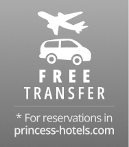 Avi&oacute;n y coche con texto &ldquo;FREE TRANSFER&rdquo; y &ldquo;princess-hotels.com&rdquo;