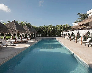 Piscina con tumbonas y caba&ntilde;as junto a una palmera en resort tropical