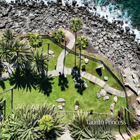 Jard&iacute;n y sendero junto al mar con rocas y palmeras, vista a&eacute;rea.