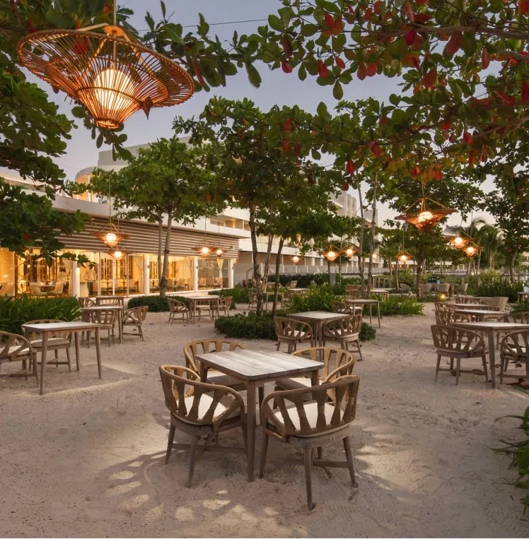 Terraza con mesas y sillas bajo &aacute;rboles, luces colgantes y faroles de mimbre