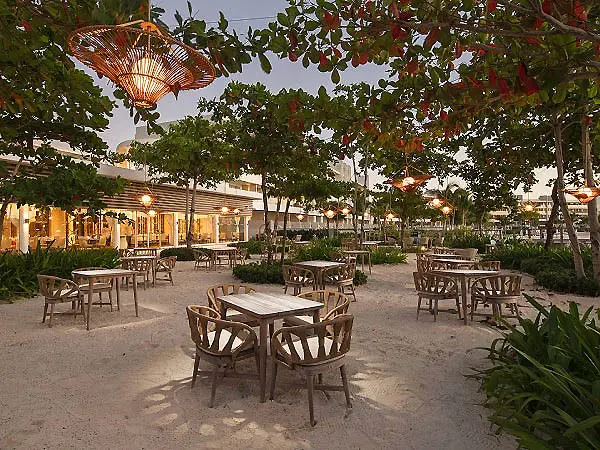 Terraza con mesas y sillas al aire libre bajo &aacute;rboles y faroles.