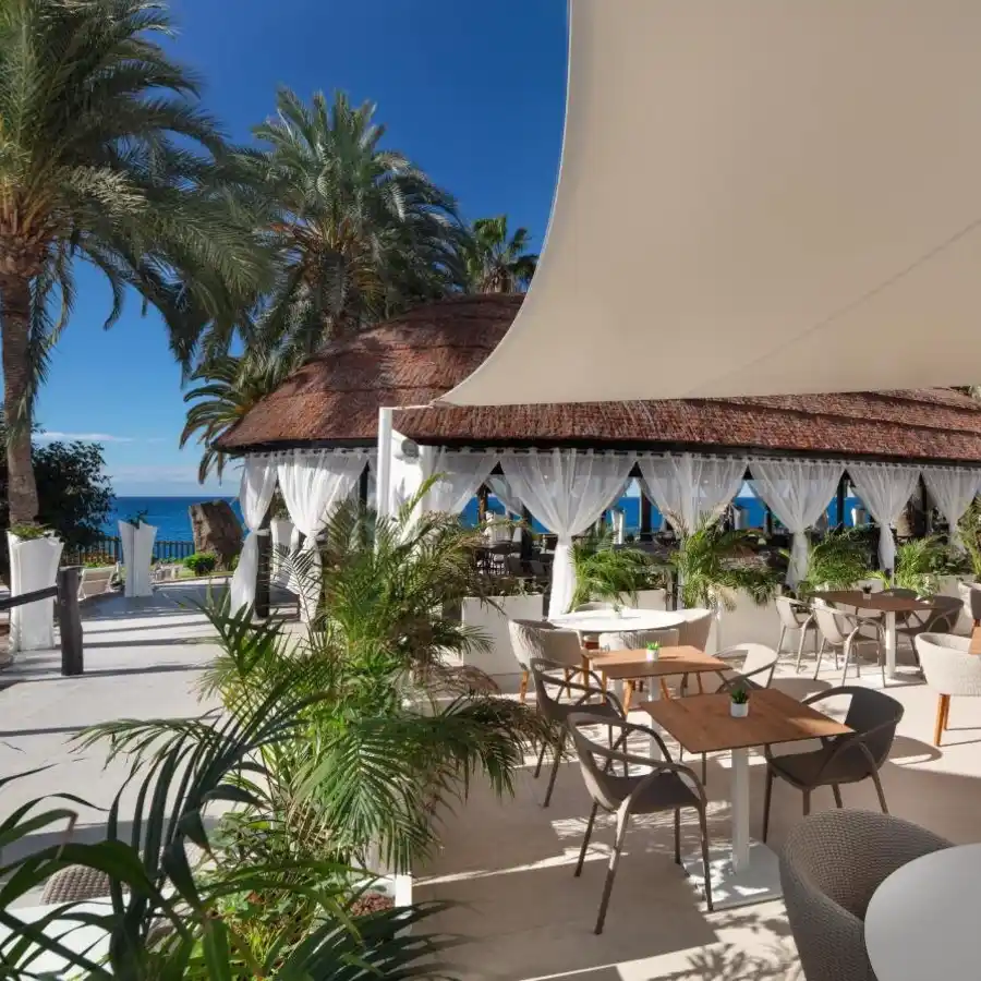 Terraza tropical con palmeras, mesas y sillas frente al mar y cielo azul