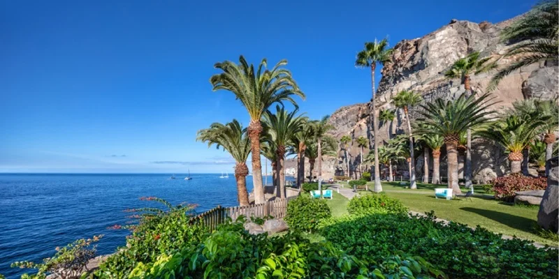 Palmeras y jardines junto al mar, con acantilados y cielo azul despejado.