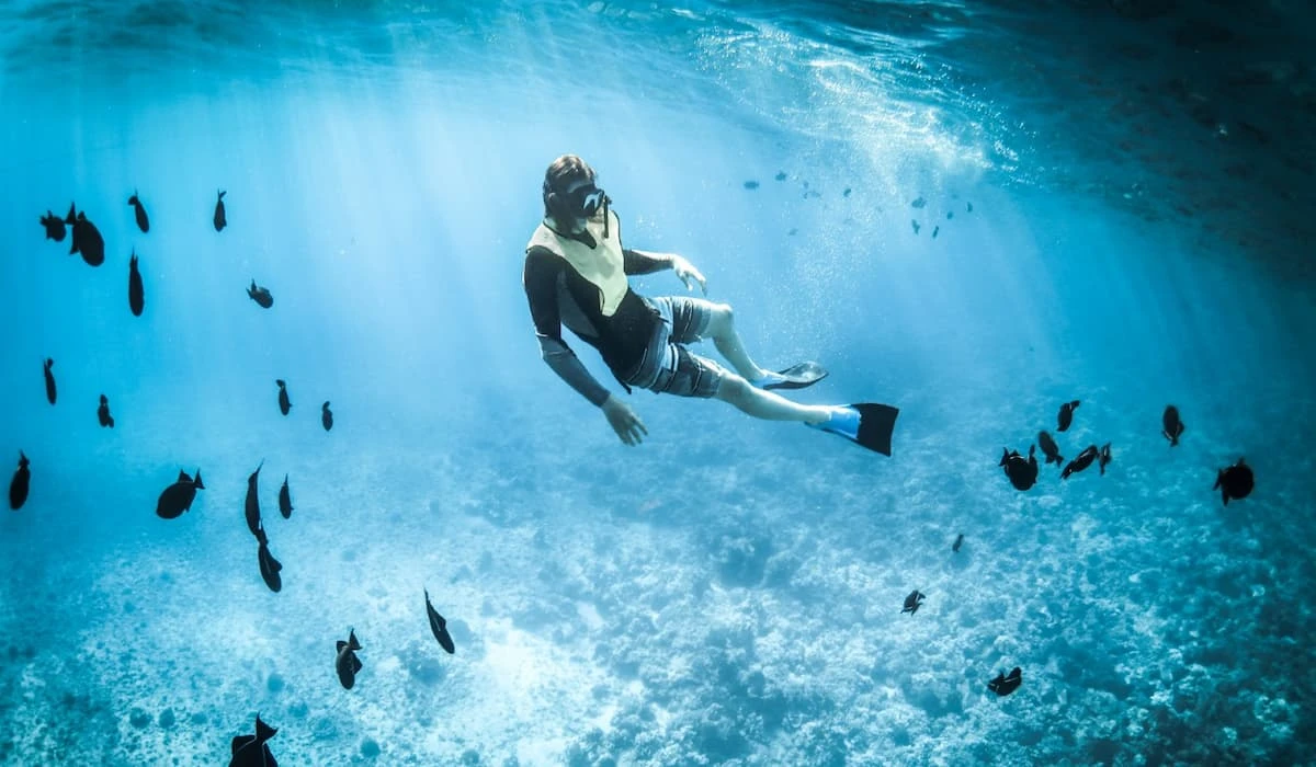 Buceador flota bajo el agua entre peces en un ambiente azul