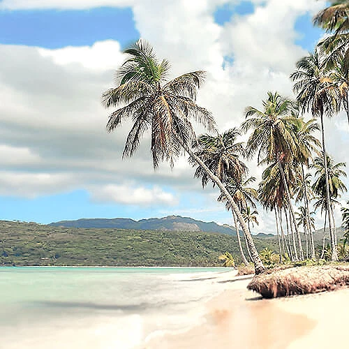 Playa tropical con palmeras y arena bajo cielo nublado y monta&ntilde;as al fondo