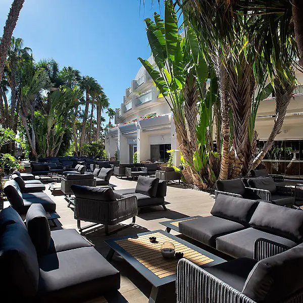Terraza de hotel con sof&aacute;s, mesas y palmeras bajo el sol