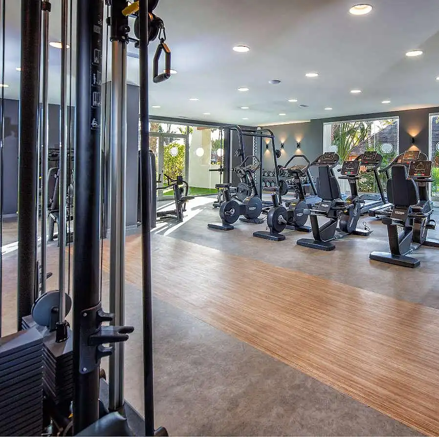 Gimnasio moderno con m&aacute;quinas de cardio y pesas, luz natural y vista exterior