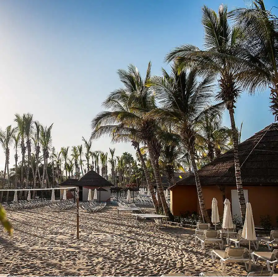 Playa con palmeras y tumbonas junto a caba&ntilde;as al atardecer