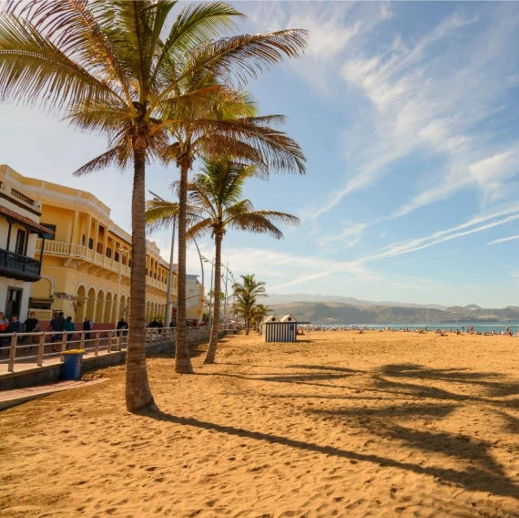 Playa soleada con palmeras y un edificio junto a la orilla, cielo despejado