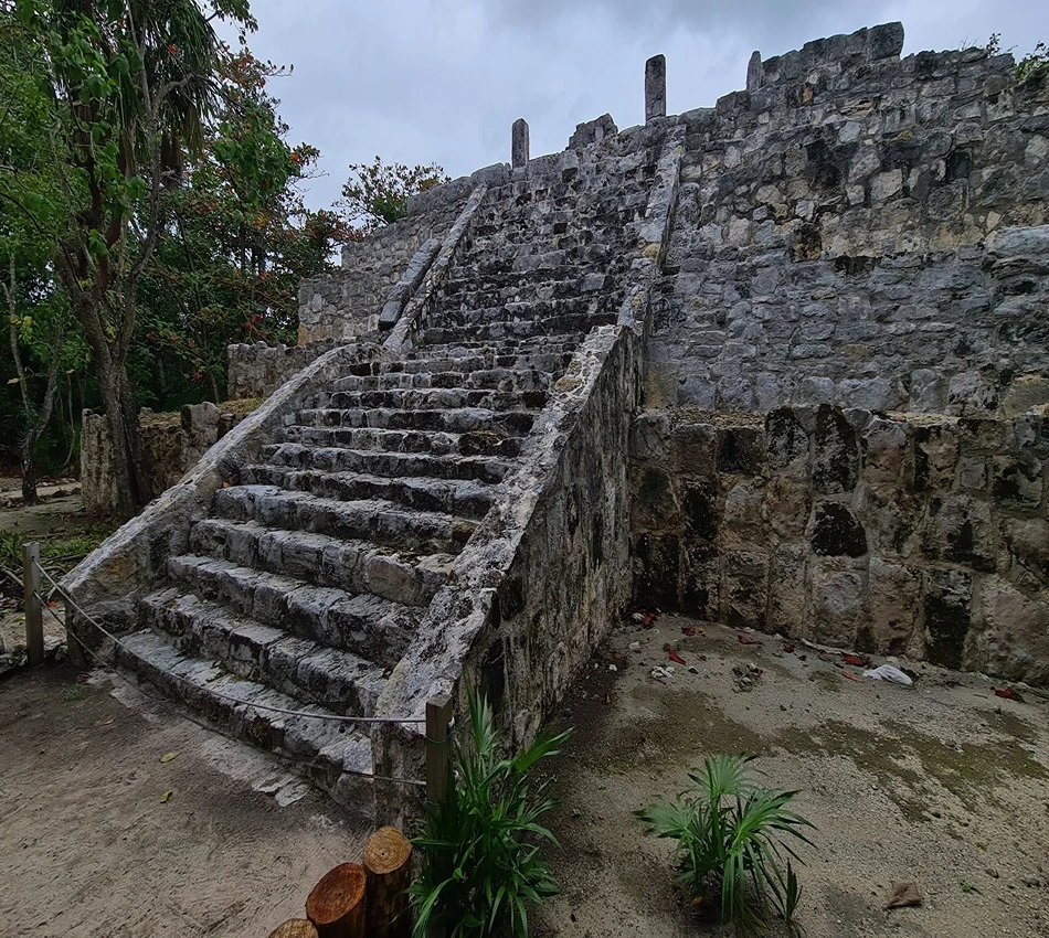 Escalinata antigua de piedra junto a &aacute;rboles y plantas.
