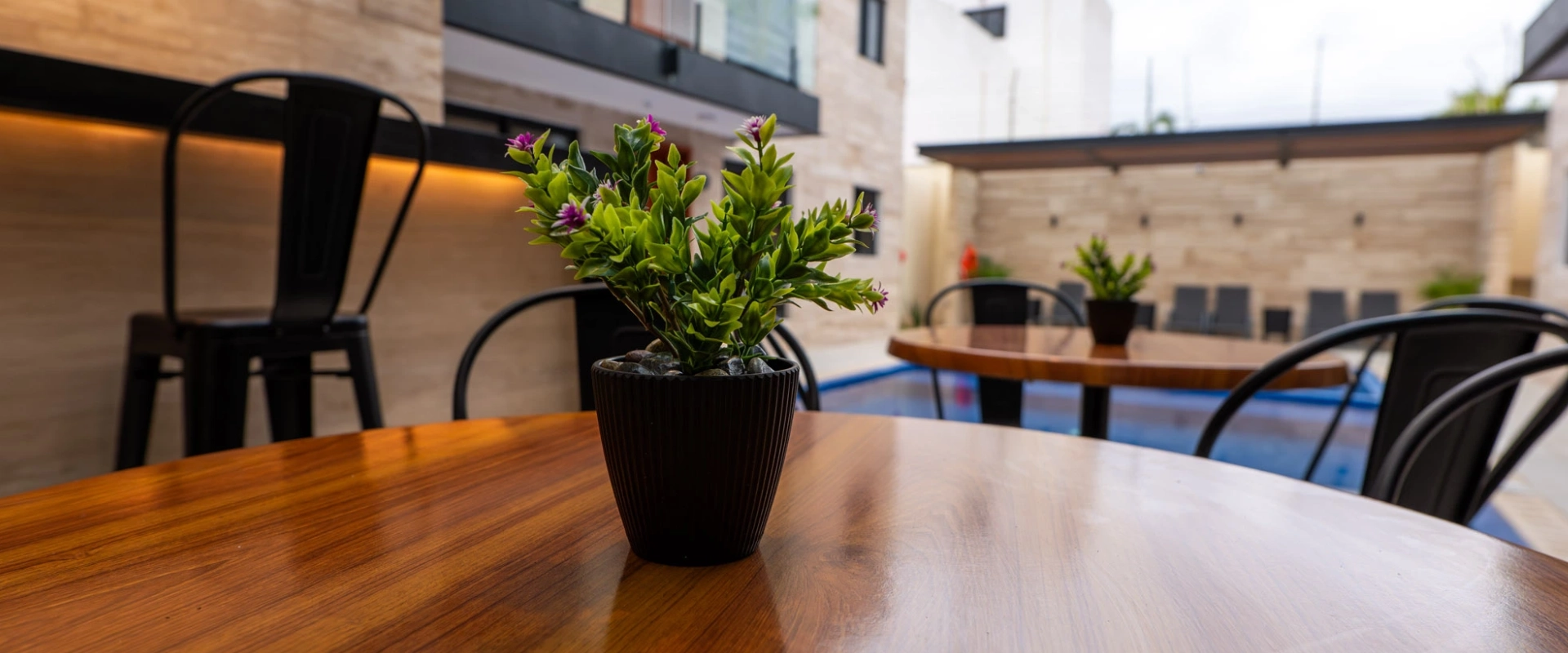 Plantas en mesas de madera cerca de una piscina en un patio moderno.