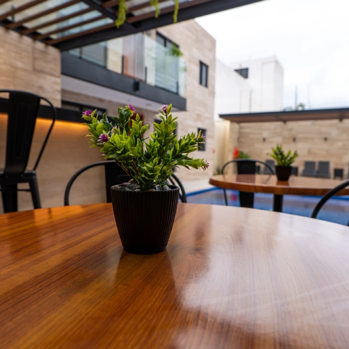 Mesa con planta en terraza moderna, fondo con piscina y sillas.