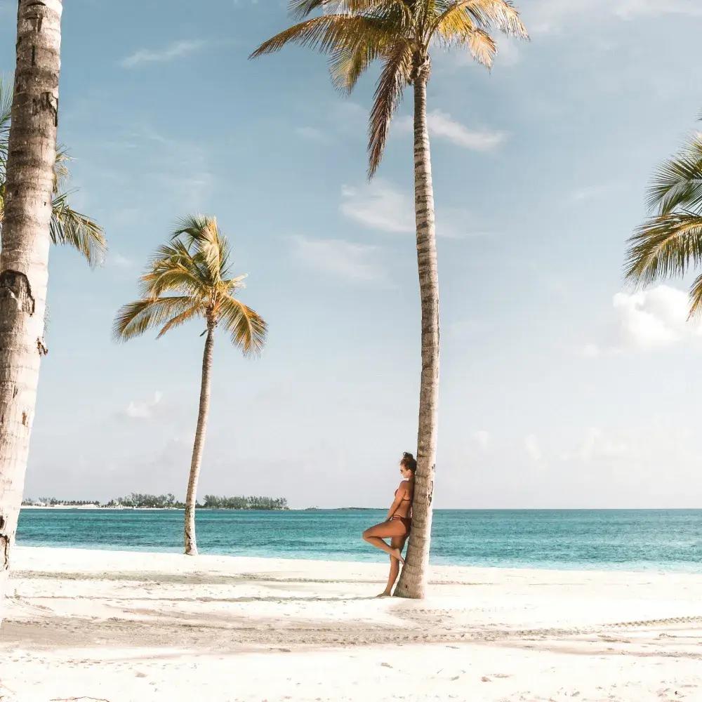 Location - Sunbay Hotel - Premium Now Beach V1 Luxury Comercial