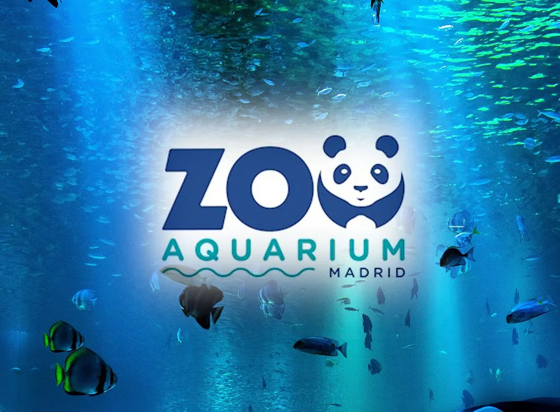 Entorno - Princesa de Eboli