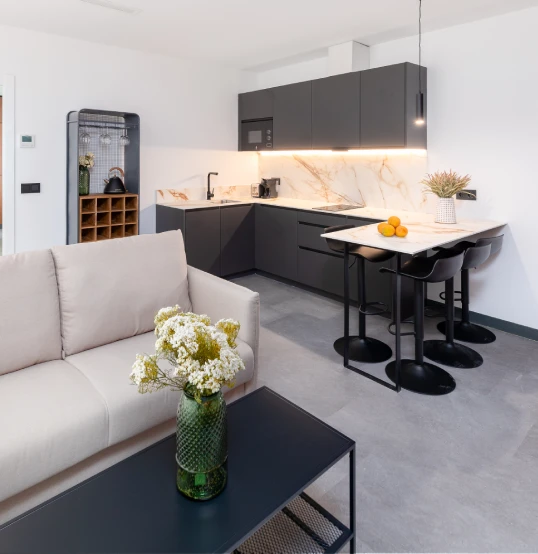 Sala moderna con cocina integrada y decoraci&oacute;n minimalista.