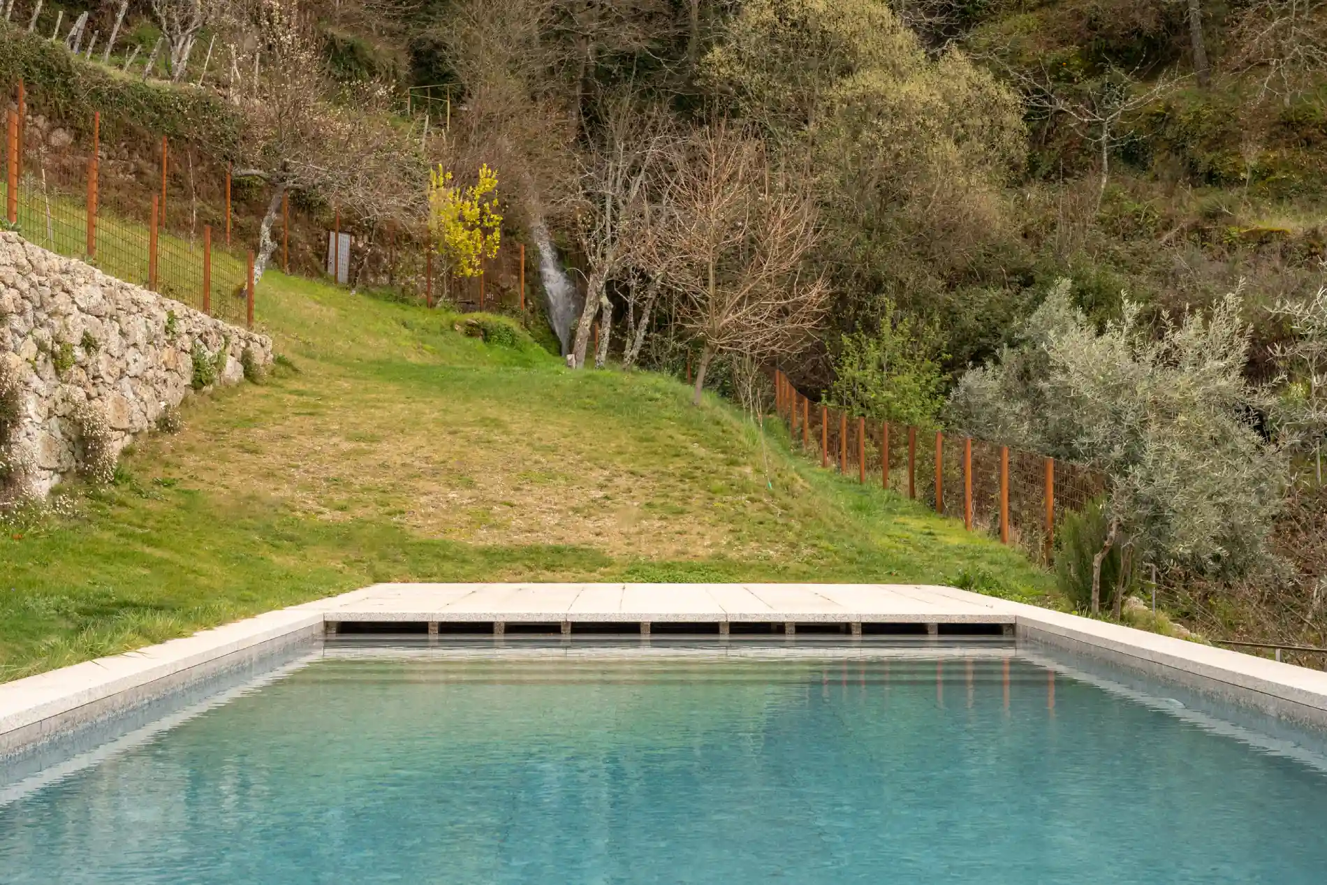 Piscina ao ar livre cercada por grama verde e vegeta&ccedil;&atilde;o densa ao fundo.