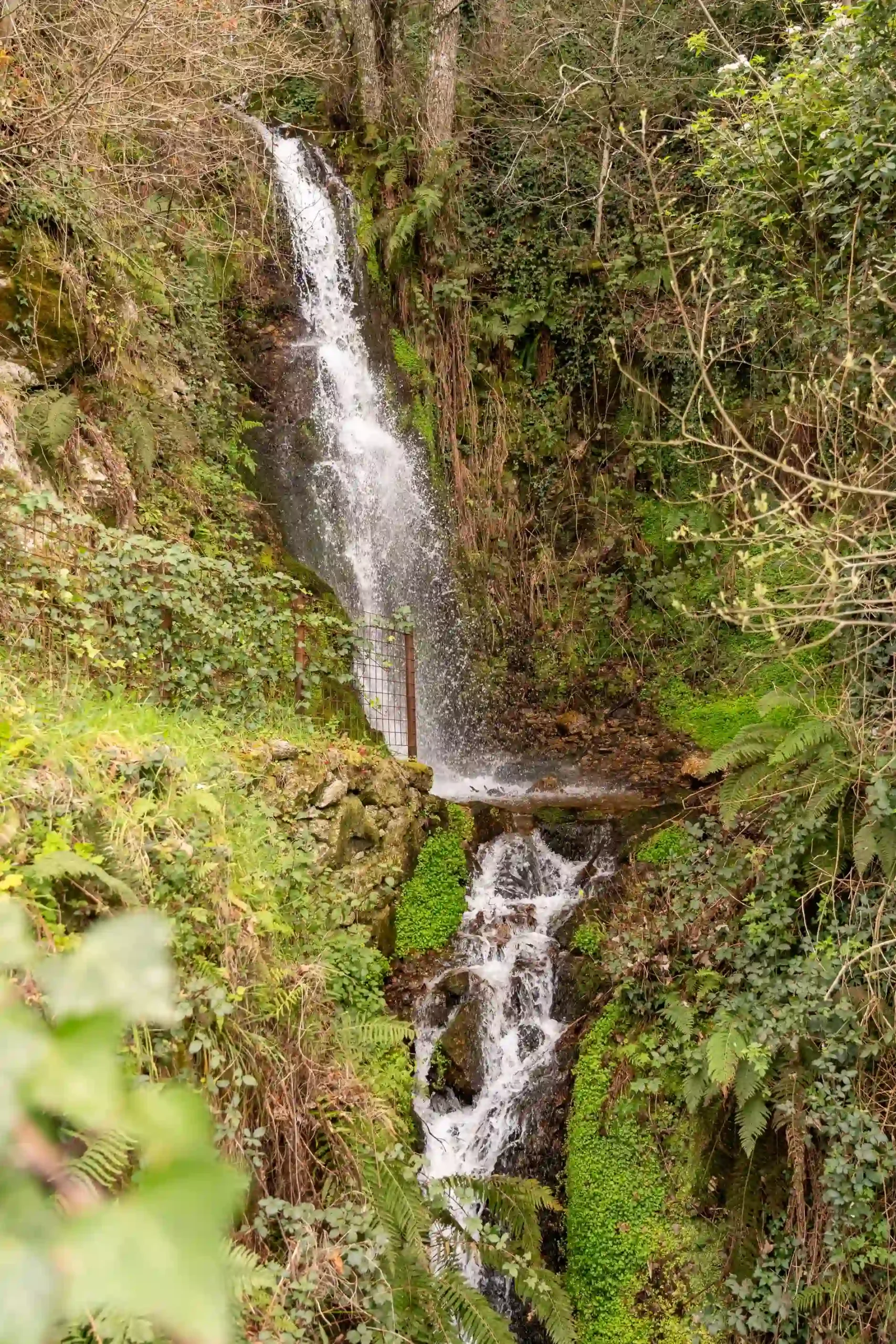 Cachoeira cercada por vegeta&ccedil;&atilde;o densa e rochas cobertas de musgo, um cen&aacute;rio natural exuberante.