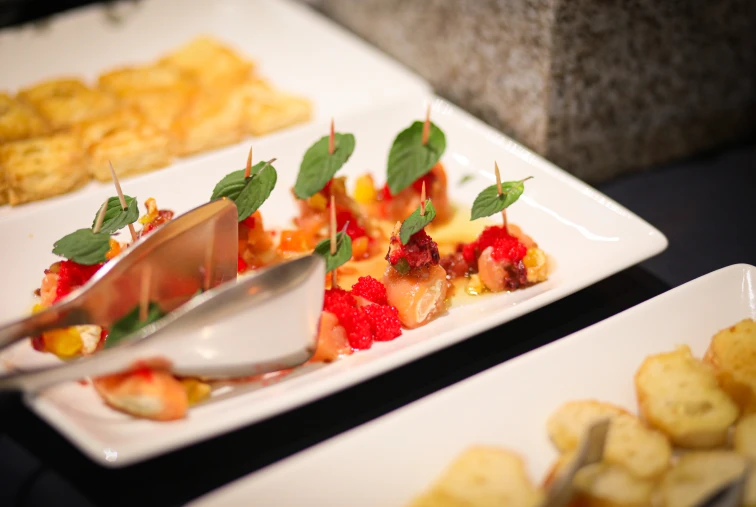 Platos gourmet con aperitivos decorados con hierbas y pinchos en mesa de buffet.