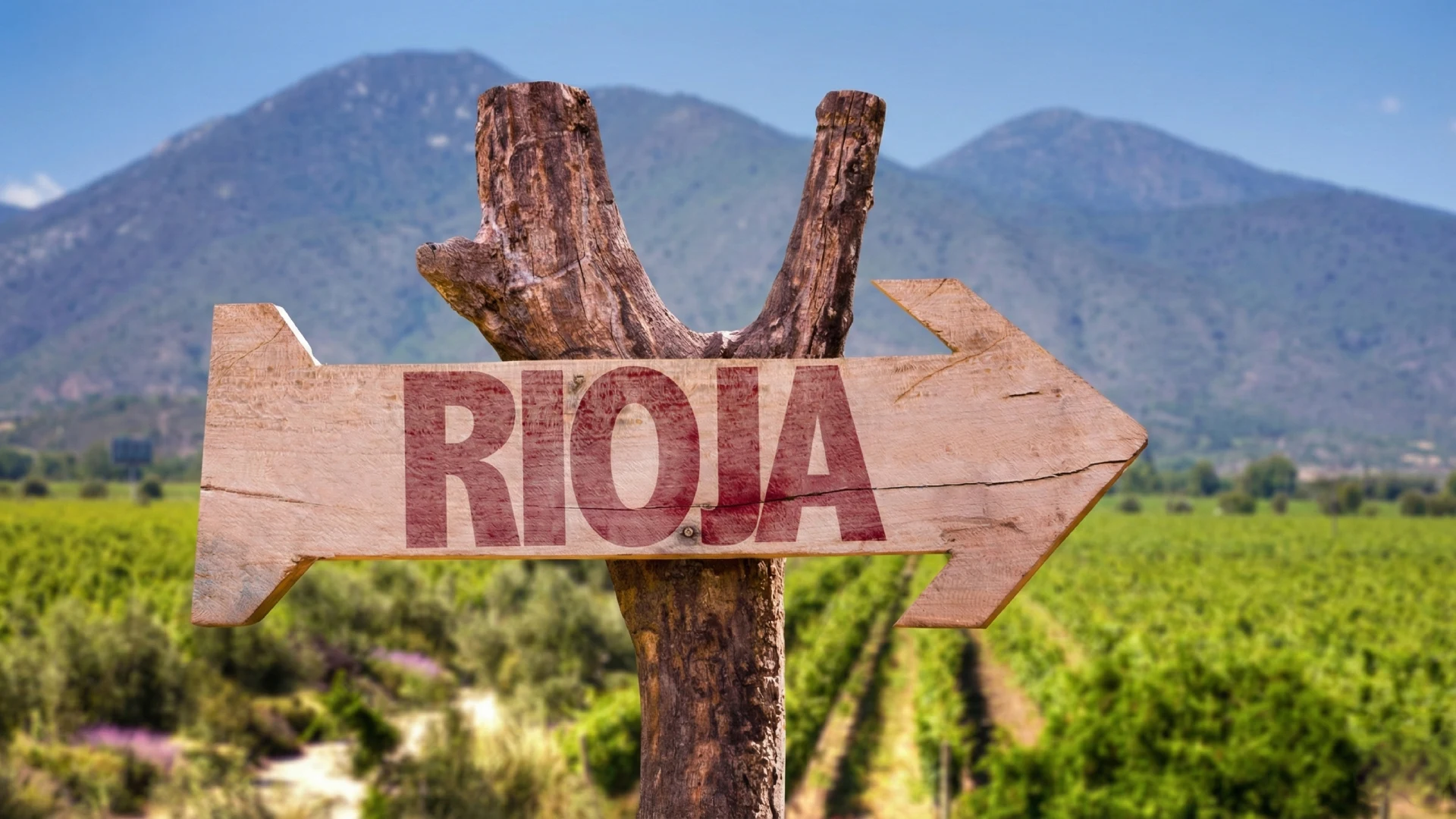 Se&ntilde;al de madera con texto "RIOJA" en un vi&ntilde;edo, monta&ntilde;as al fondo.