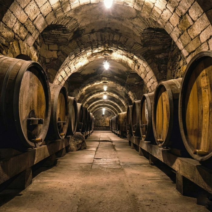 Bodega subterr&aacute;nea con barriles de madera alineados en un pasillo de piedra.