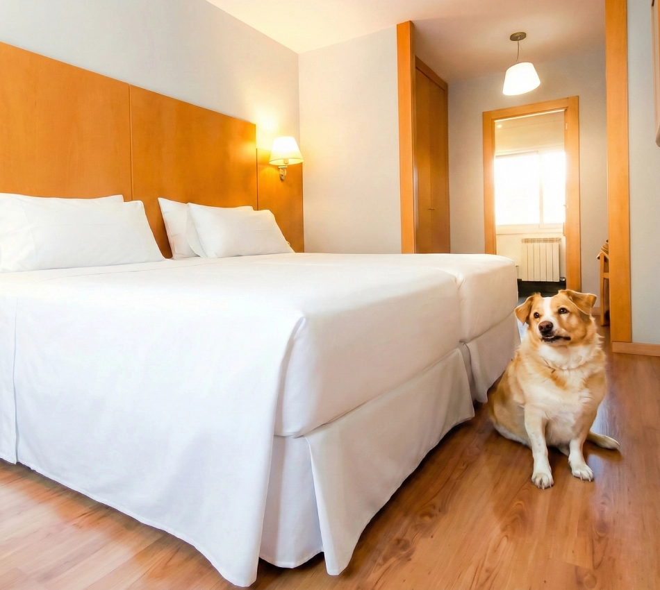 Habitaci&oacute;n moderna con dos camas y un perro sentado en el suelo.