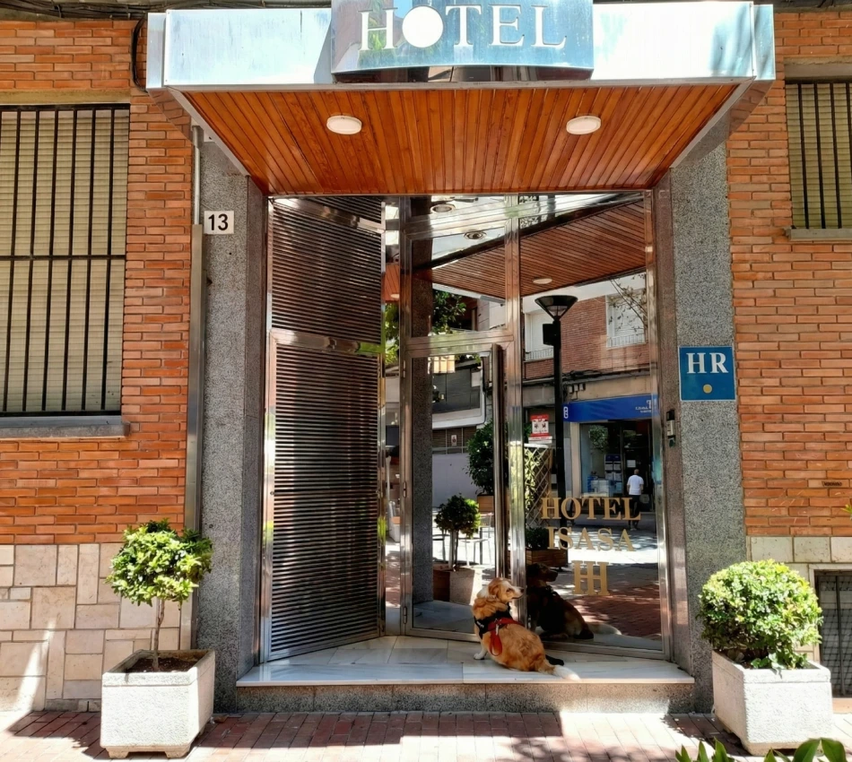 Hotel con fachada de ladrillo, puerta de cristal y un perro en la entrada.