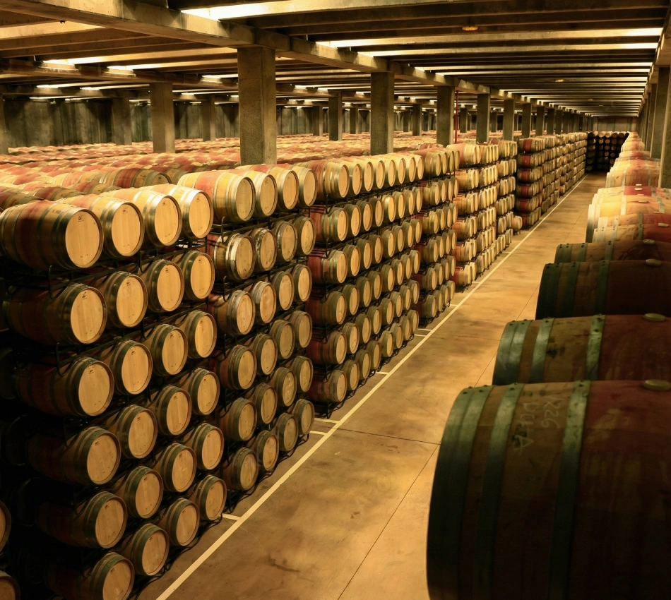 Fila de barricas de vino apiladas en una bodega subterr&aacute;nea.