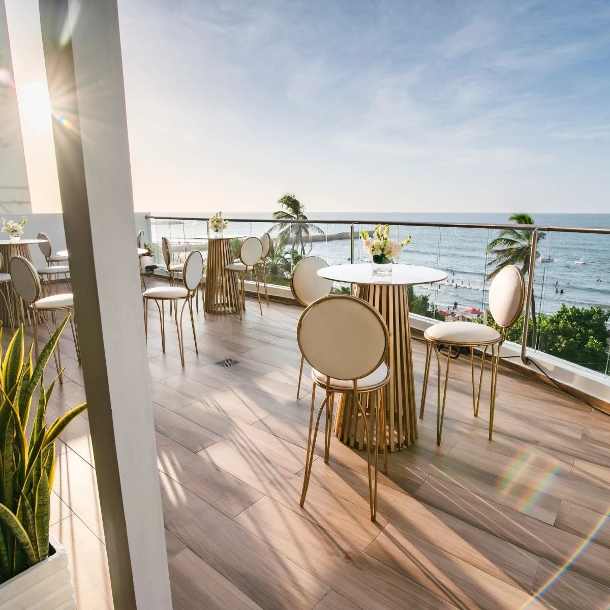 Terraza soleada con mesas y sillas frente al mar y palmeras.