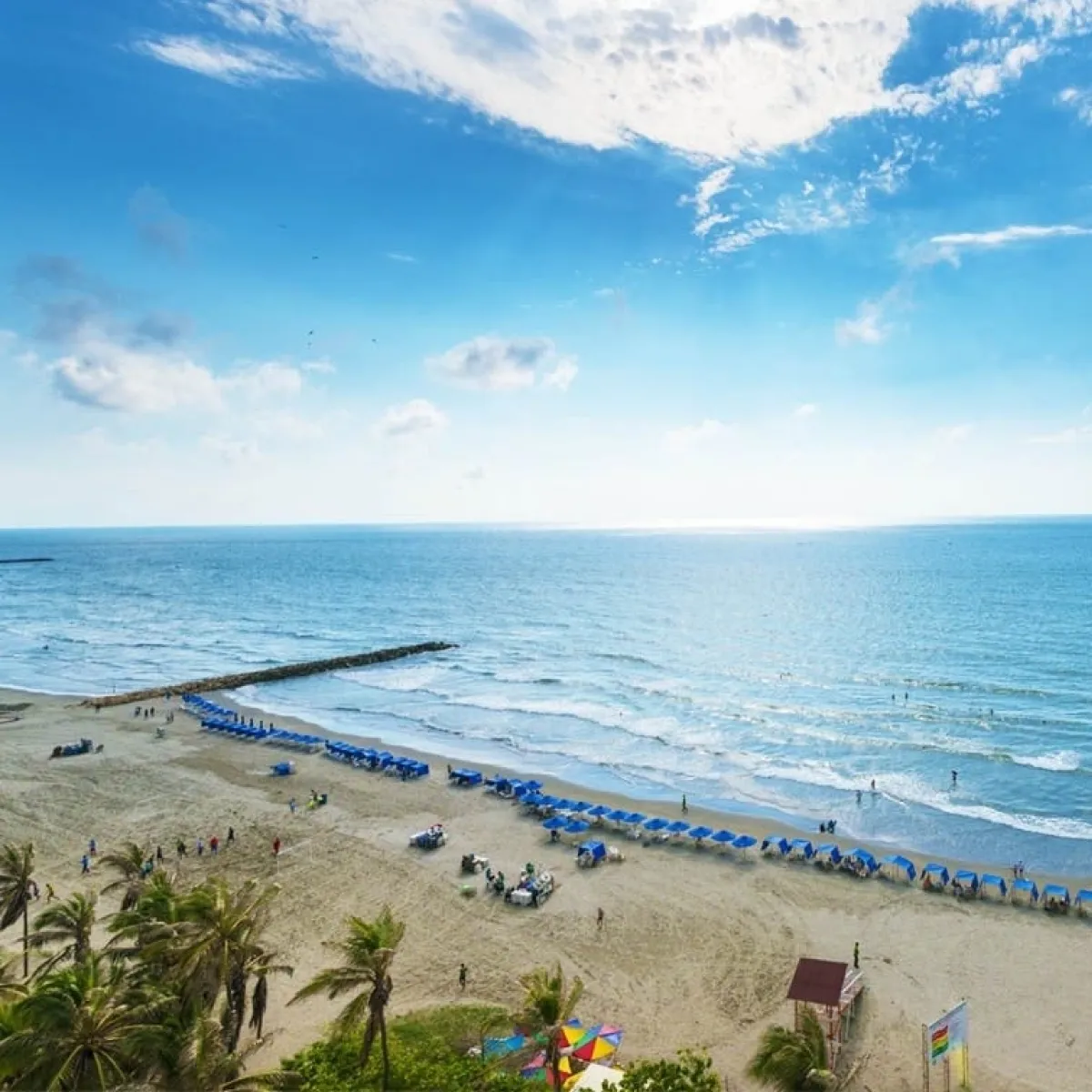 Playa con sombrillas azules, cielo despejado y palmeras al fondo.