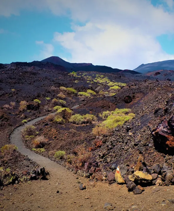 Sendero en terreno volc&aacute;nico con vegetaci&oacute;n escasa bajo un cielo azul.