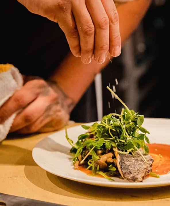 Mano espolvoreando sal sobre plato con verduras y pescado.
