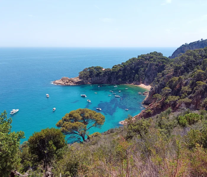 Bah&iacute;a con agua turquesa, rodeada de vegetaci&oacute;n y acantilados, con barcos flotando.