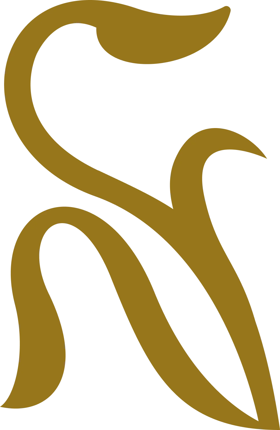 Dise&ntilde;o curvo dorado sobre fondo negro con formas estilizadas.