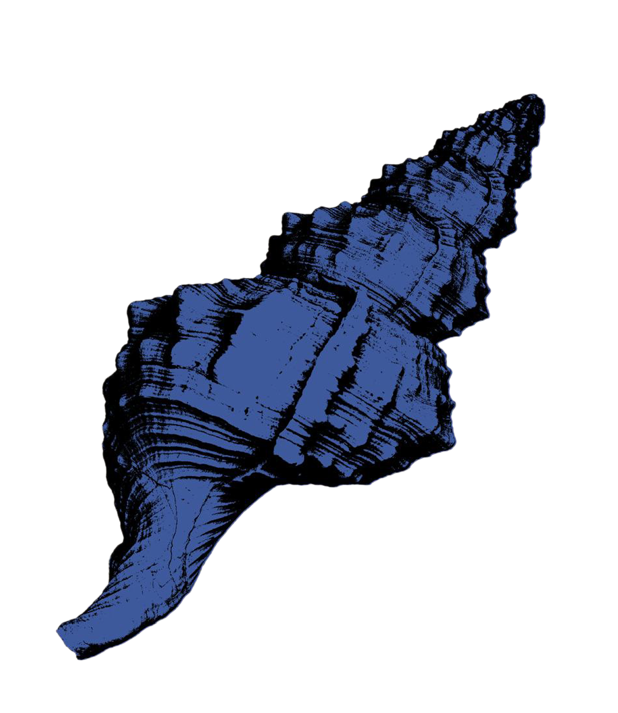 Ilustraci&oacute;n de una caracola azul sobre fondo negro.